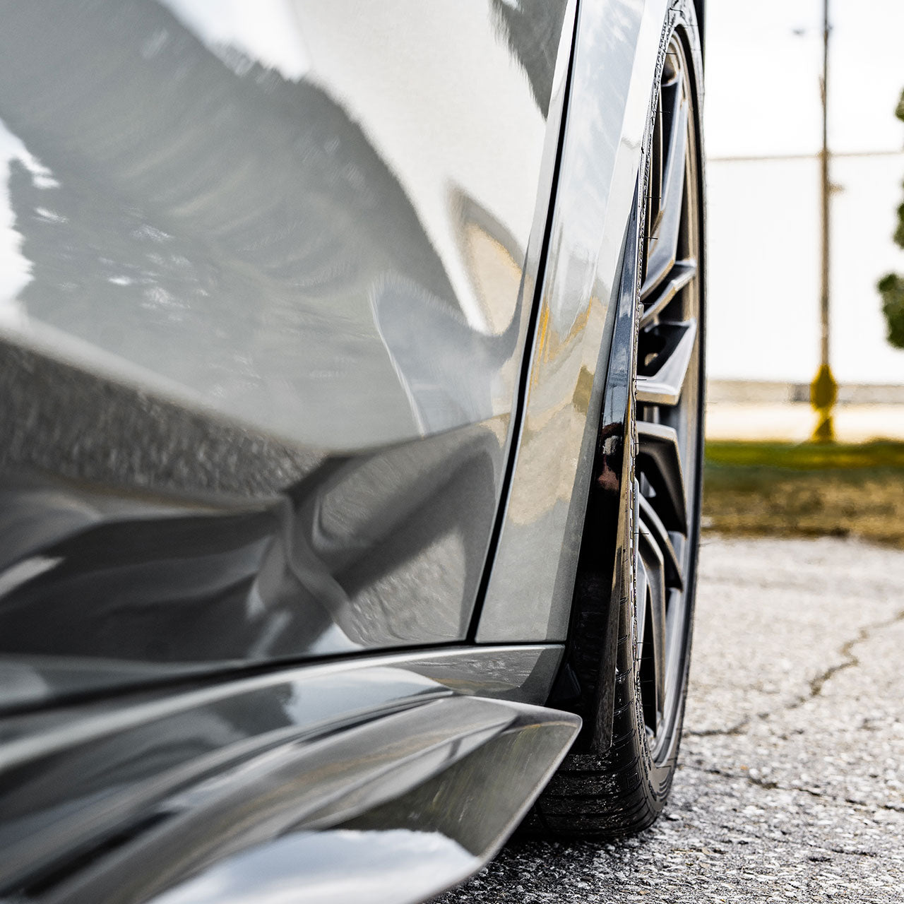 C8 ZR1 Z06 E-Ray Rock Guards