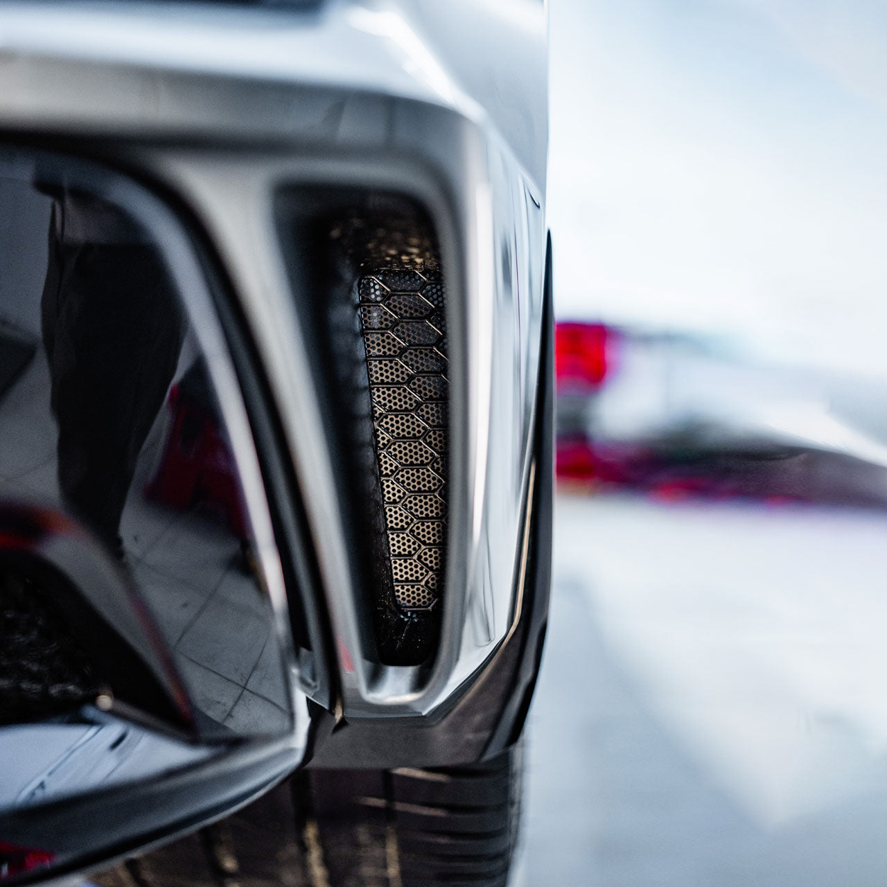 C8 ZR1 Z06 E-Ray Rock Guards