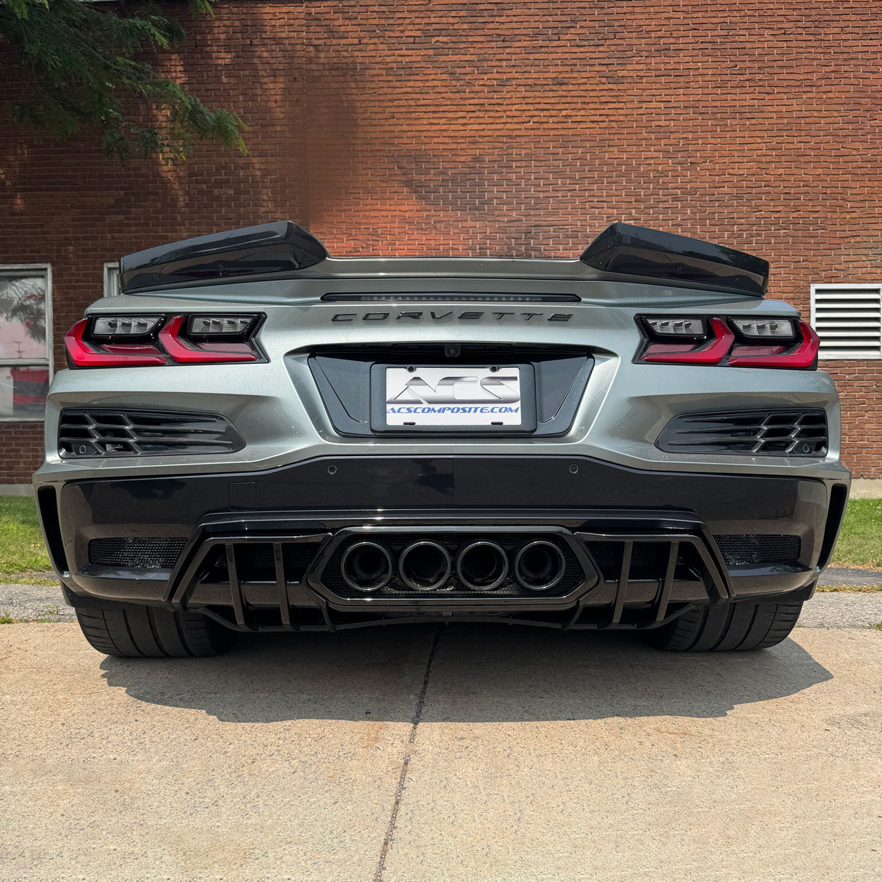 C8 Z06 E-Ray License Plate Filler