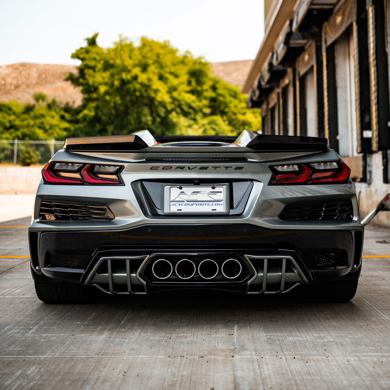 C8 Z06 E-Ray License Plate Filler