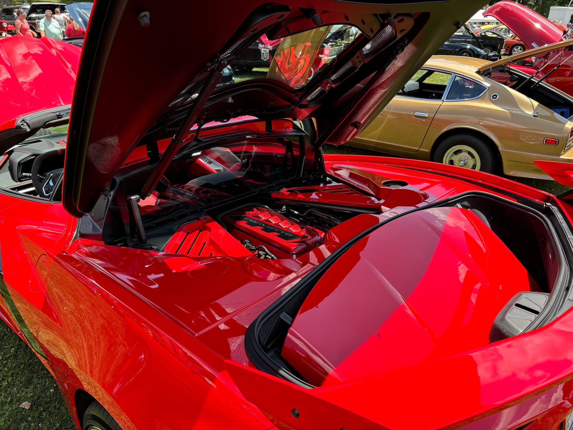 ACS Composite customer review image for C8 Coupe Engine Compartment Overlay