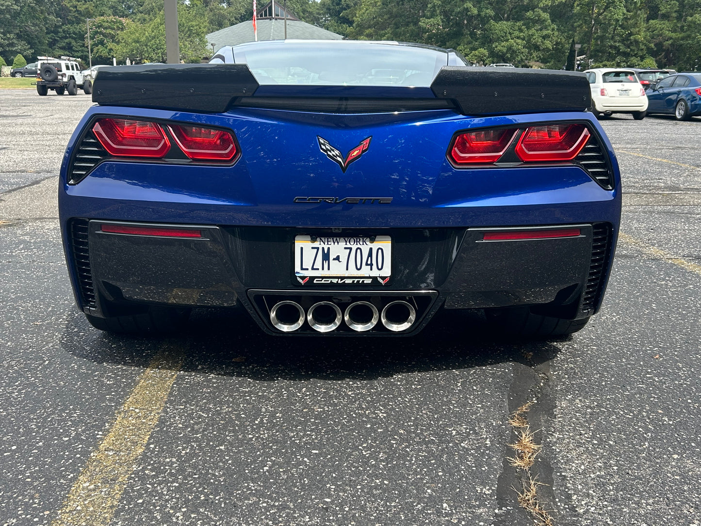 ACS Composite customer review image for Carbon Flash Black Paint Treatment Wax