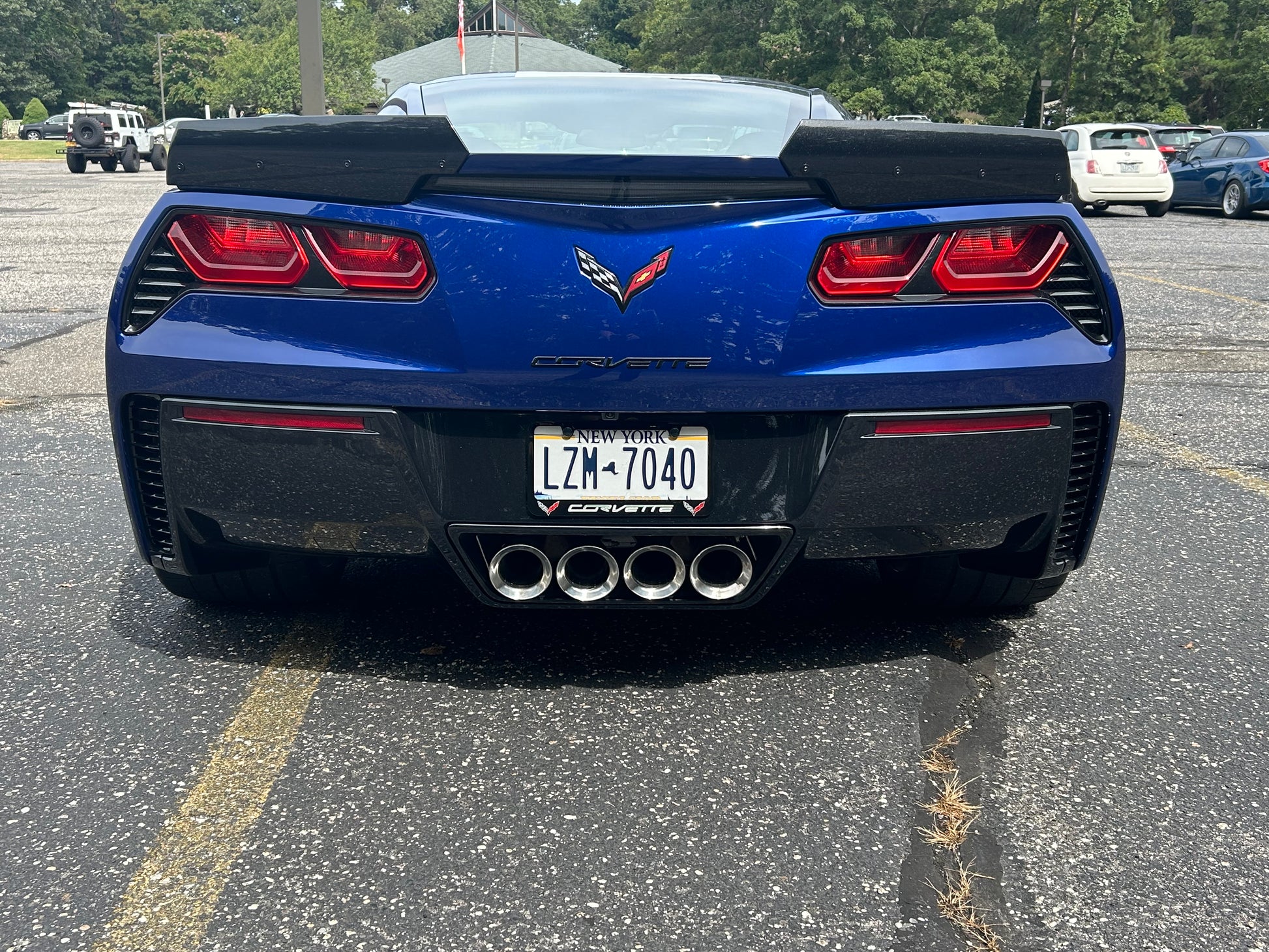 ACS Composite customer review image for Carbon Flash Black Paint Treatment Wax