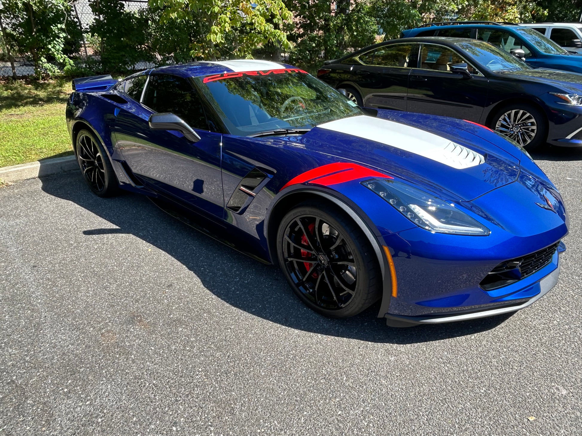 ACS Composite customer review image for Carbon Flash Black Paint Treatment Wax