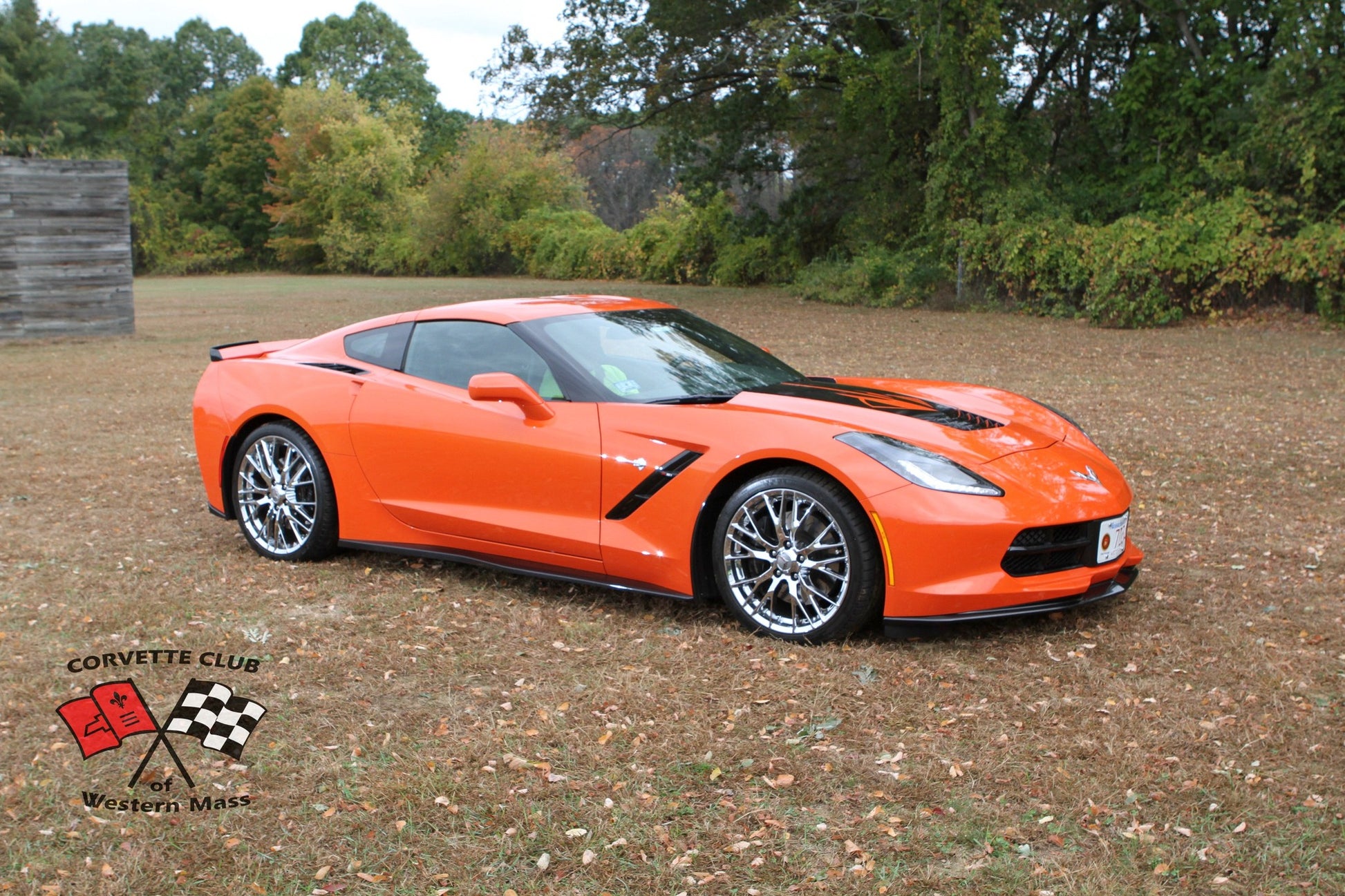 ACS Composite customer review image for C7 XL Rock Guards